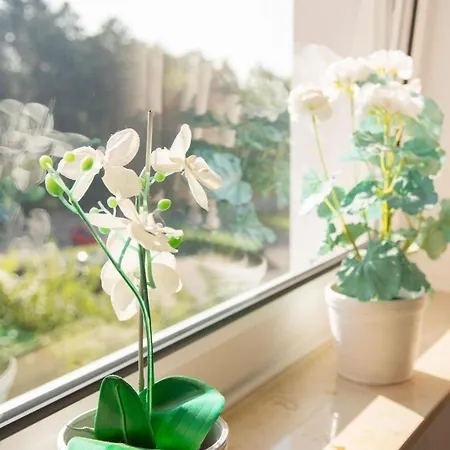 Guenstige-sankt-peter-ording-ferienwohnung